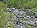 2006-05-30 003.JPG